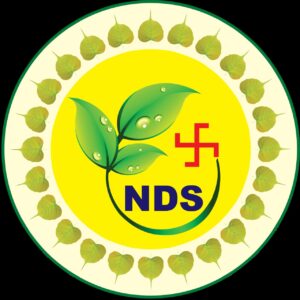 WhatsApp Image 2024-12-02 at 1.42.42 PM